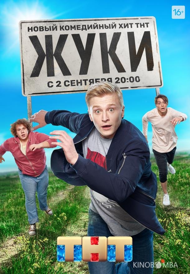 Жуки Жуки 4 17