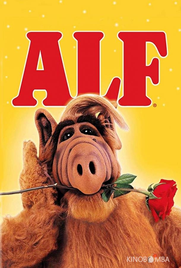 Альф Альф 4 24