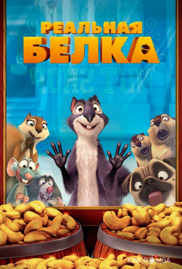 Реальная белка Реальная белка