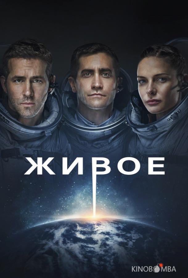 Живое Живое