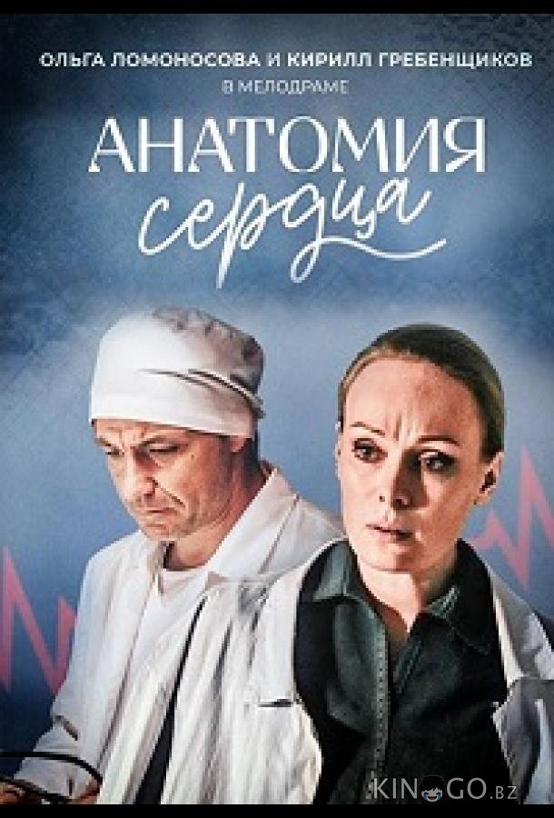 Анатомия сердца / Тетрада Фалло Анатомия сердца / Тетрада Фалло 1 12