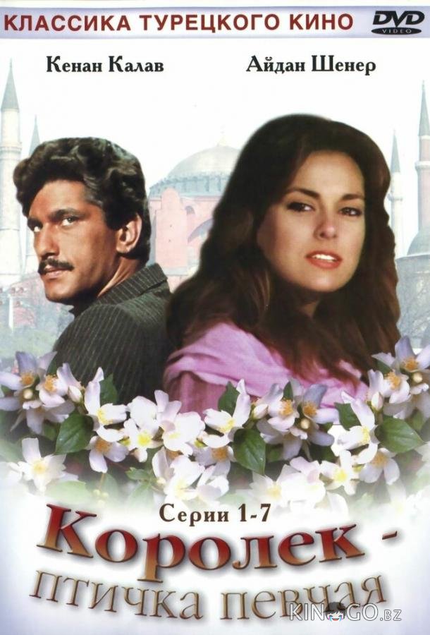 Королёк — птичка певчая Королёк — птичка певчая 1 11