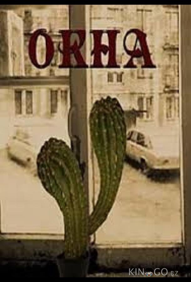 Окна Окна