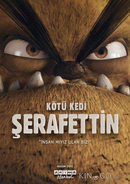 Плохой кот Шерафеттин Плохой кот Шерафеттин