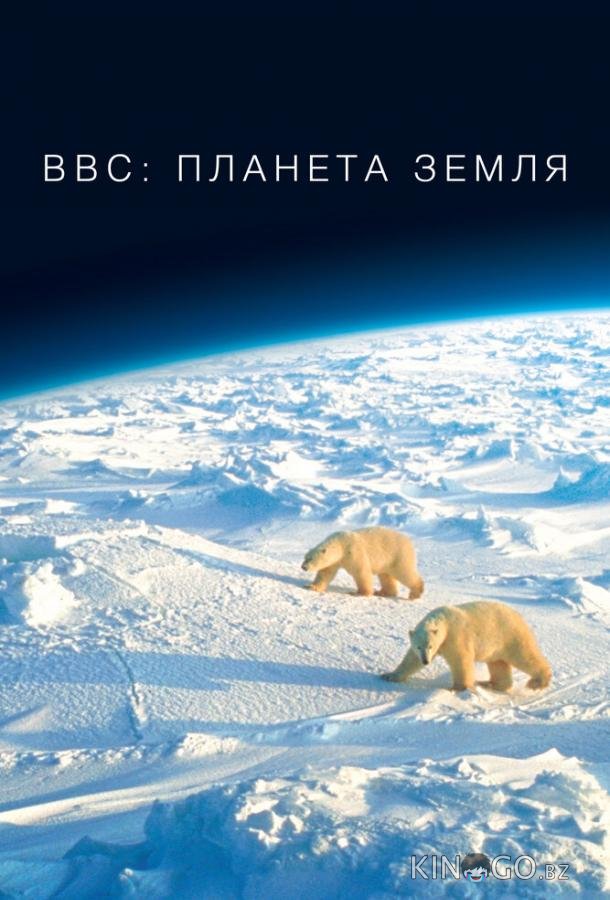 BBC: Планета Земля BBC: Планета Земля 1 11