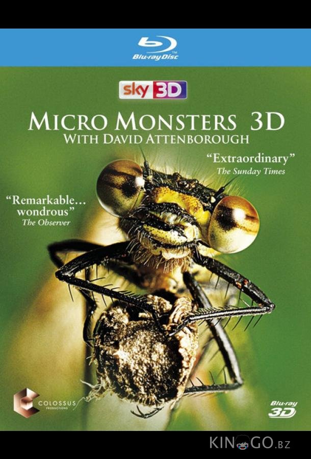 Микромонстры 3D с Дэвидом Аттенборо Микромонстры 3D с Дэвидом Аттенборо 1 7