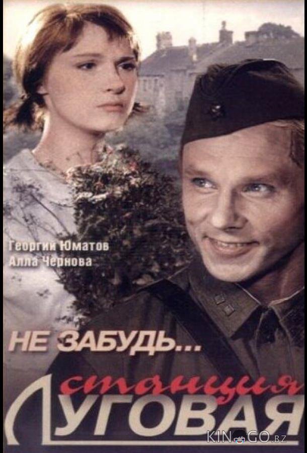 Не забудь... станция Луговая Не забудь... станция Луговая