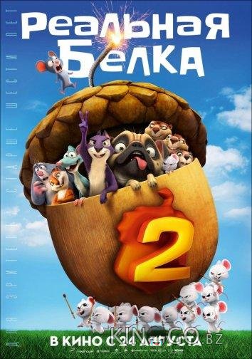 Реальная белка 2 Реальная белка 2