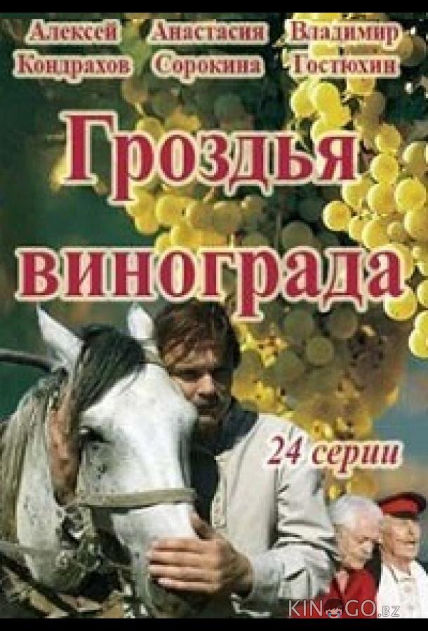 Гроздья винограда Гроздья винограда 1 24