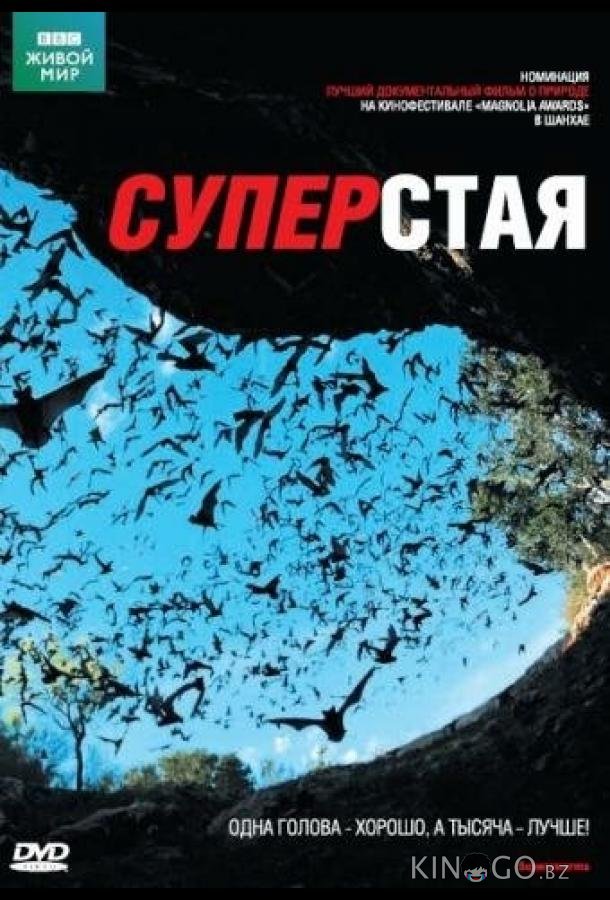 BBC: Суперстая BBC: Суперстая 1 2
