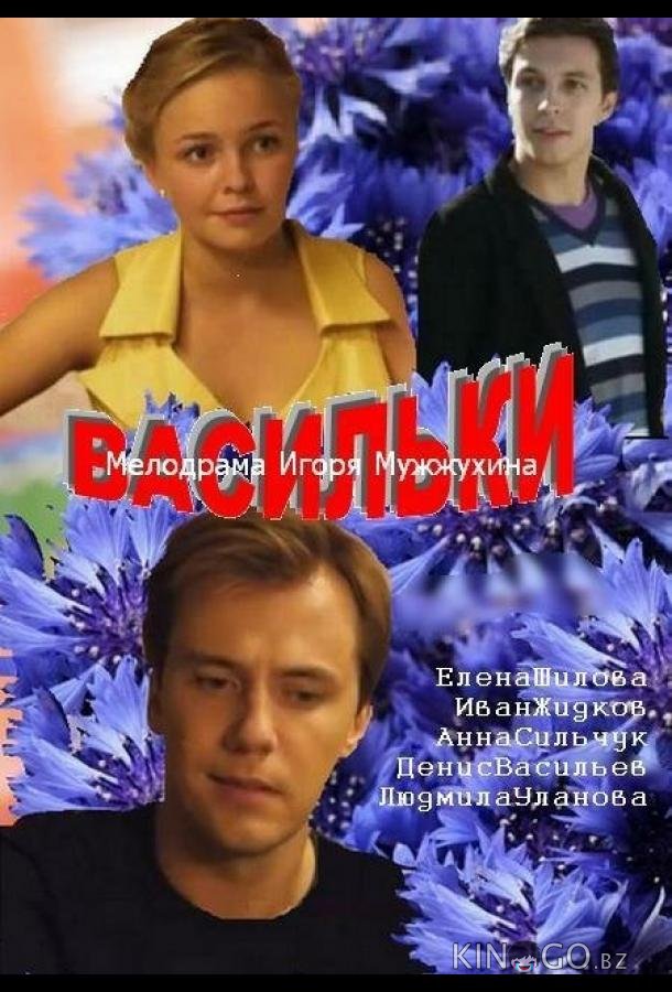 Васильки Васильки 1 2