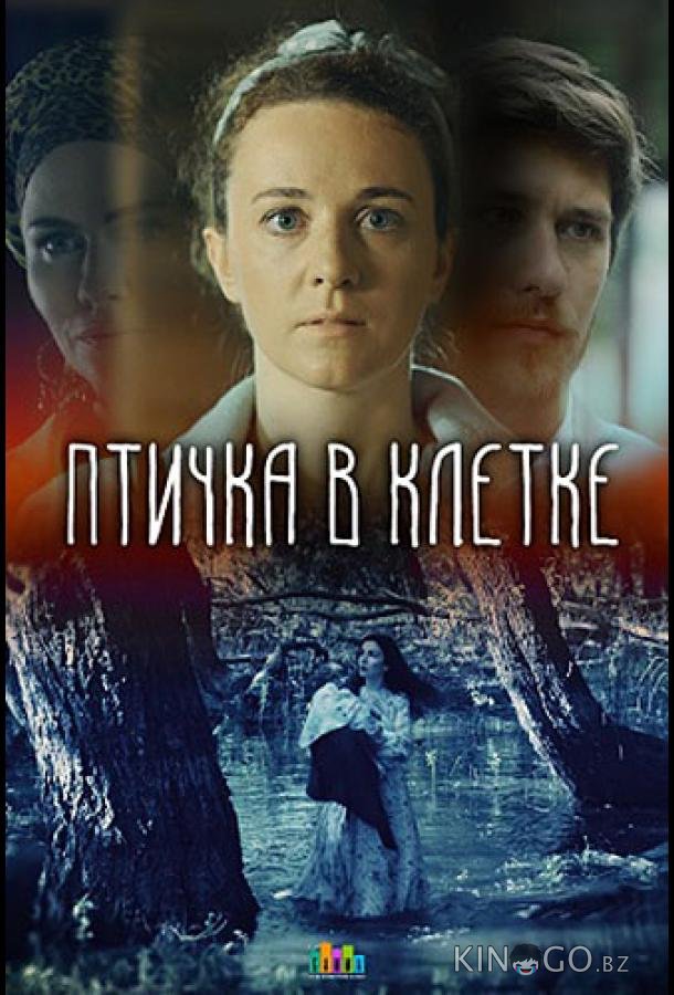 Птичка в клетке Птичка в клетке 1 2