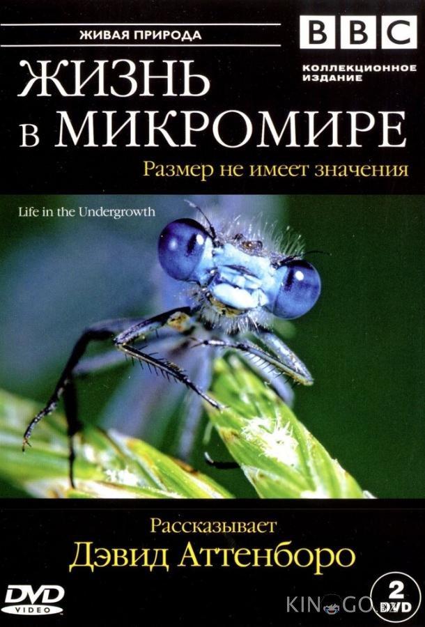 BBC: Жизнь в микромире BBC: Жизнь в микромире 1 5