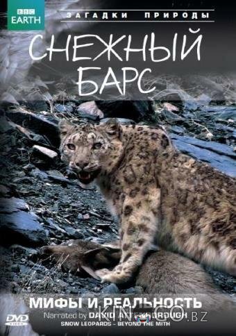 BBC: Снежный барс: Мифы и реальности BBC: Снежный барс: Мифы и реальности 1 7