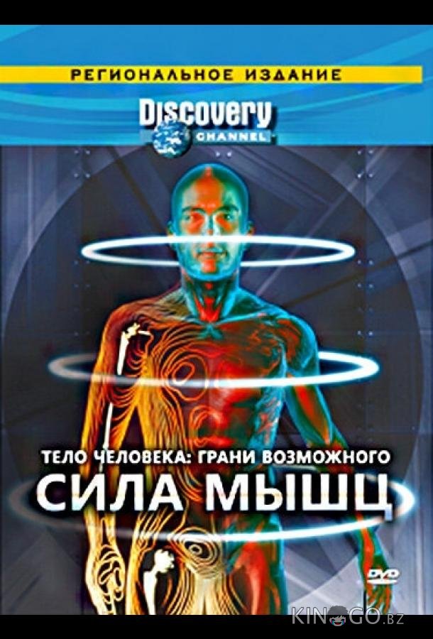Тело человека. Грани возможного Тело человека. Грани возможного 1 4