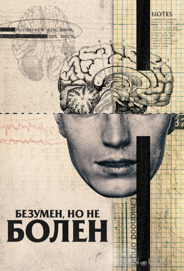 Безумен, но не болен Безумен, но не болен