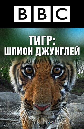 BBC: Тигр — Шпион джунглей BBC: Тигр — Шпион джунглей 1 3
