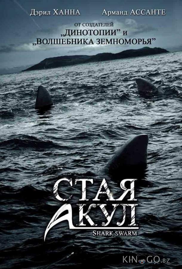 Стая акул Стая акул