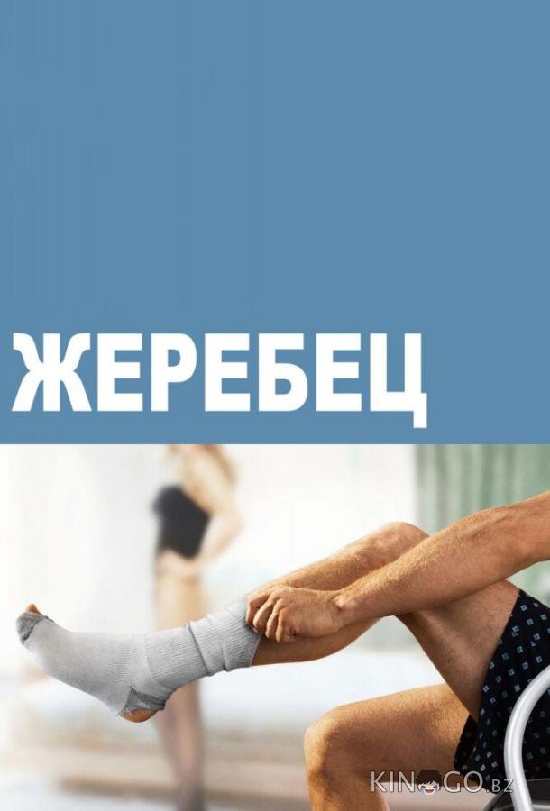 Жеребец Жеребец 3 10