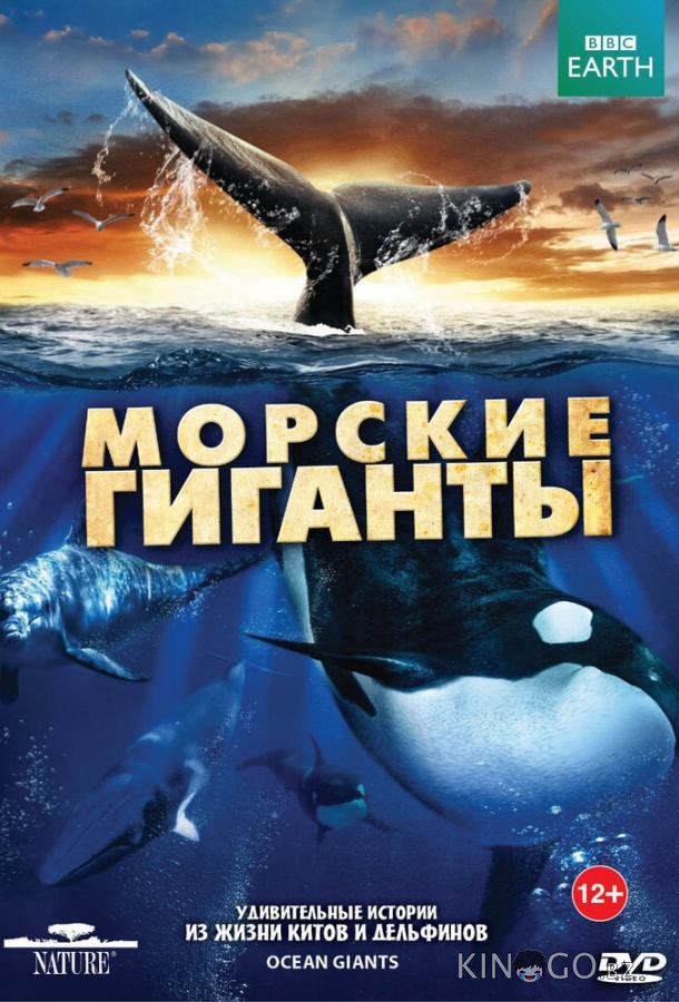 BBC: Морские гиганты BBC: Морские гиганты 1 3