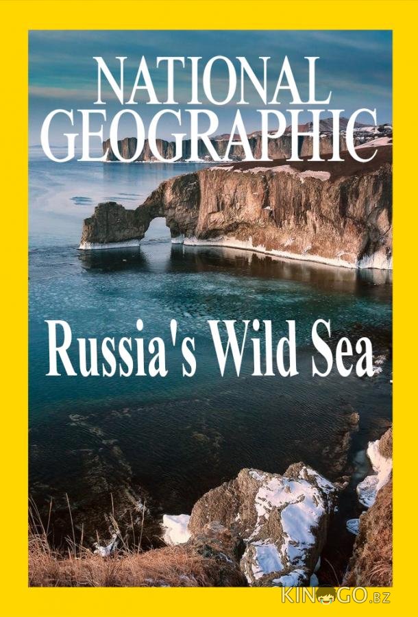 Дикое море России Дикое море России 1 2