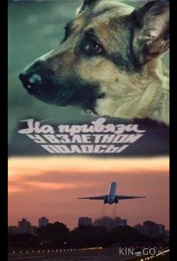 На привязи у взлетной полосы На привязи у взлетной полосы
