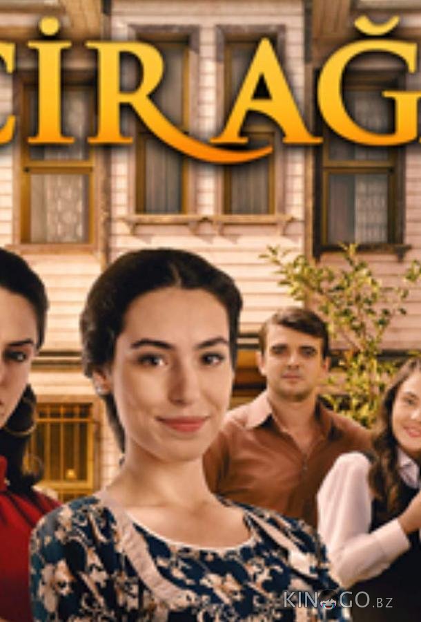 Фиговое дерево Фиговое дерево 1 5