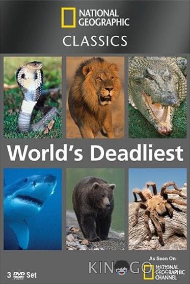 National Geographic: Самые опасные животные National Geographic: Самые опасные животные 1 31
