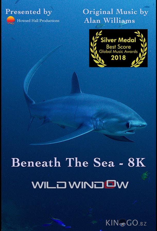 Wild Window: Beneath the Sea Wild Window: Beneath the Sea