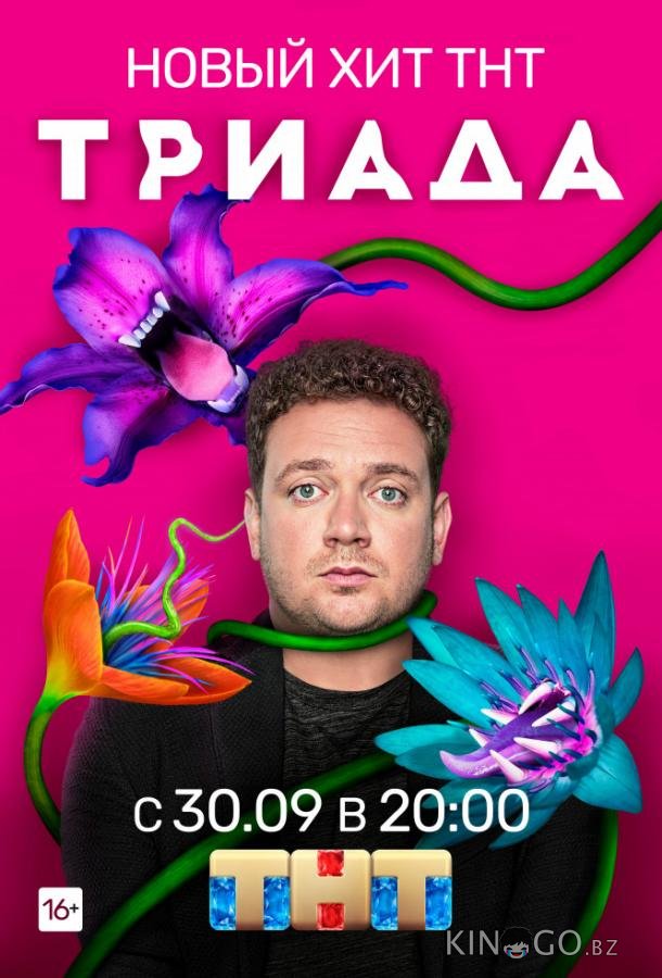 Триада Триада 2 16