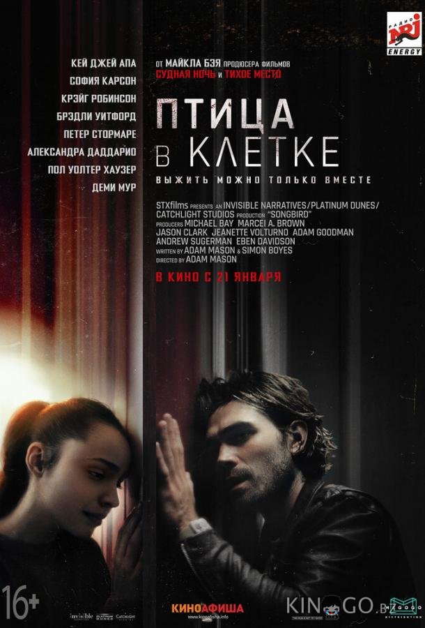 Птица в клетке Птица в клетке