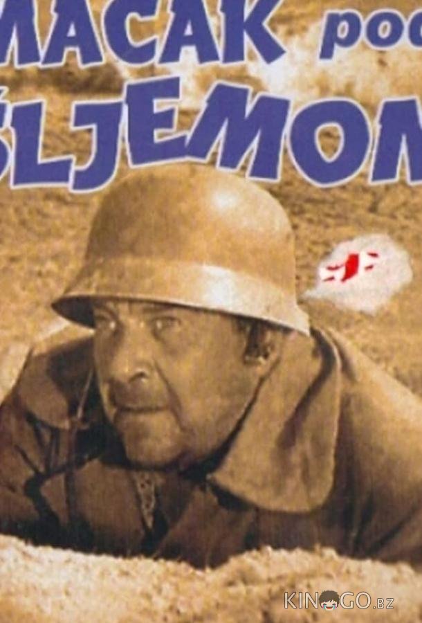 Кот под шлемом Кот под шлемом