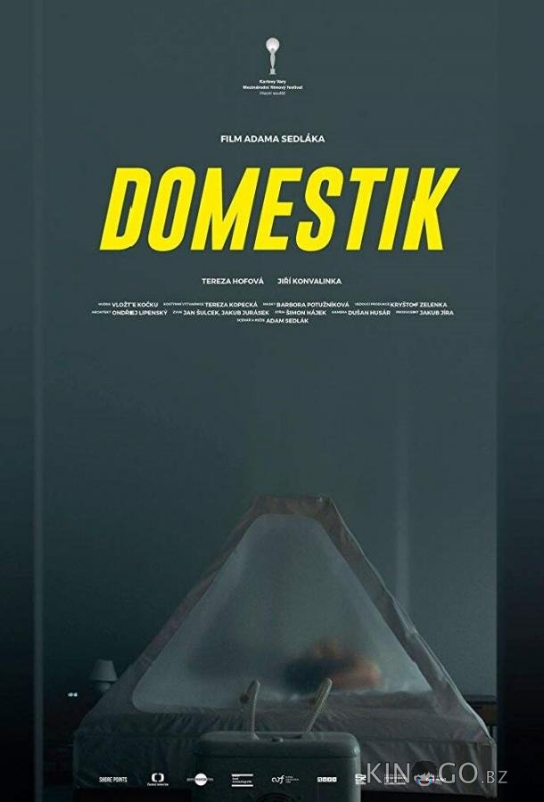 Домашний режим Домашний режим