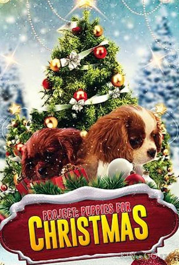 Project: Puppies for Christmas Project: Puppies for Christmas