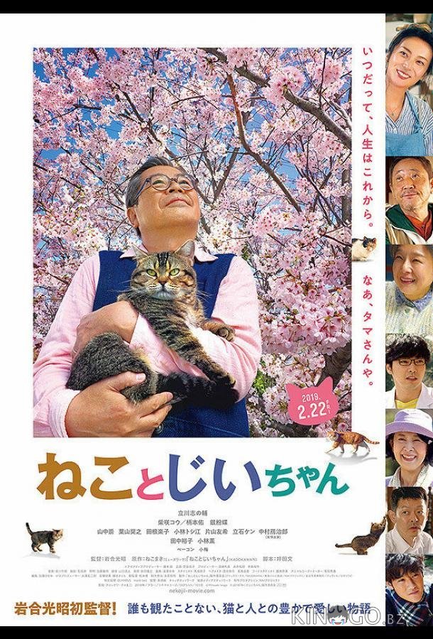 Кот и дедуля Кот и дедуля