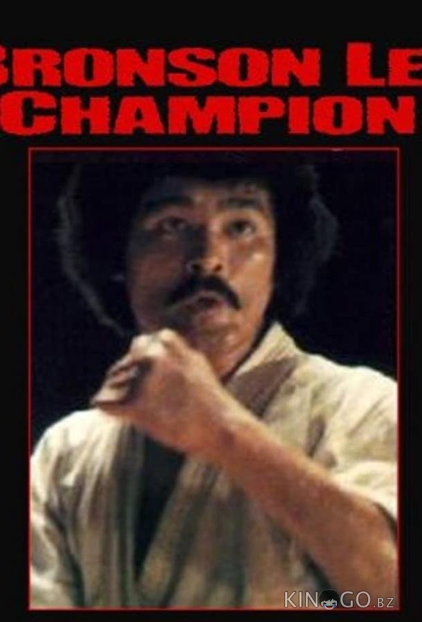 Za karate 3: Denkô sekka Za karate 3: Denkô sekka