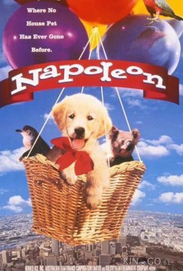 Наполеон Наполеон