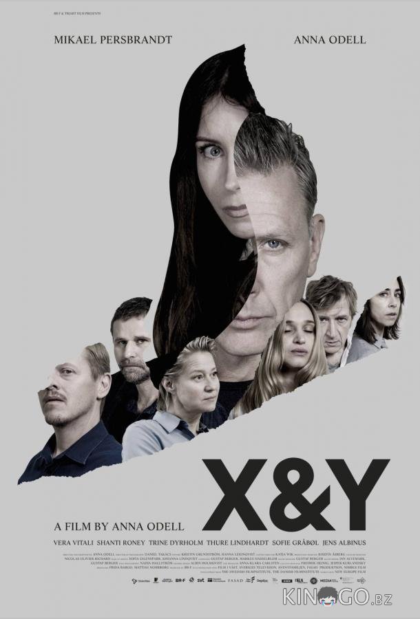 X и Y X и Y