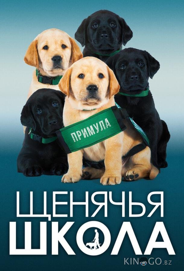 Щенячья школа Щенячья школа