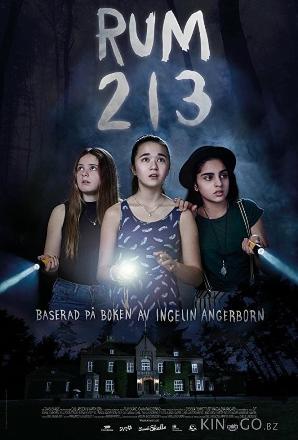 Комната 213 Комната 213