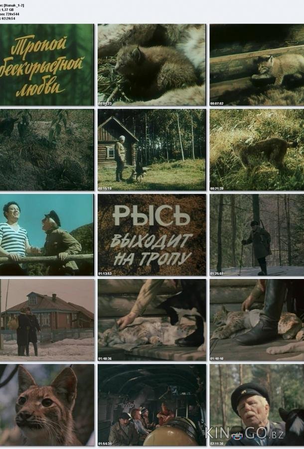 Тропой бескорыстной любви Тропой бескорыстной любви