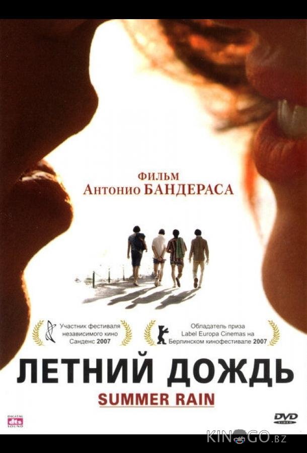 Летний дождь Летний дождь