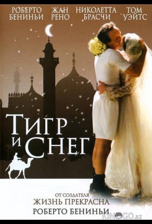 Тигр и снег Тигр и снег