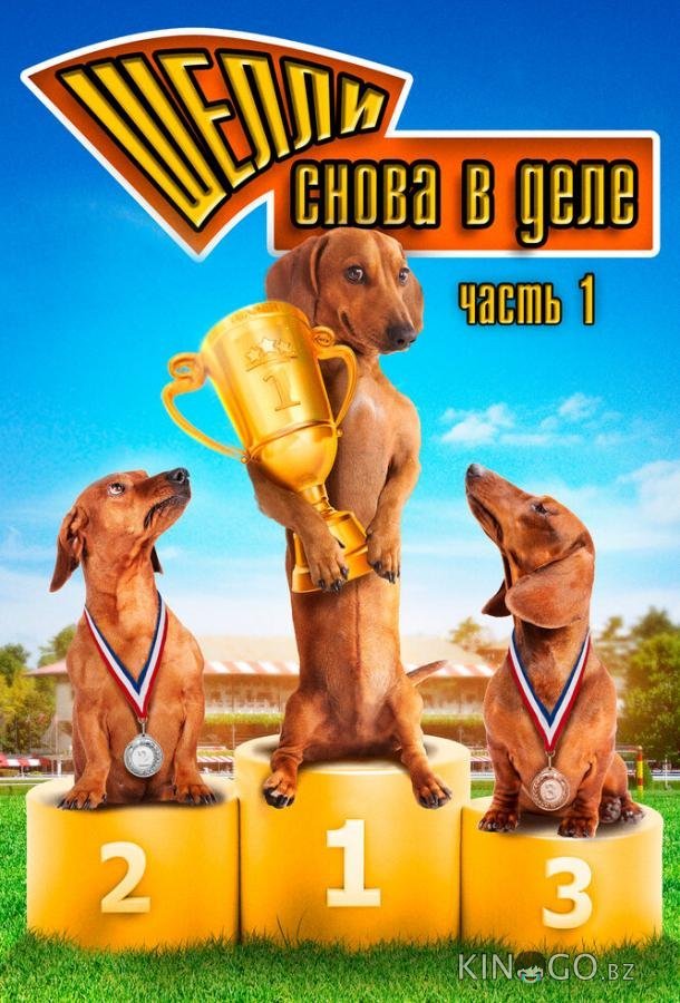Шелли снова в деле: Часть 1 Шелли снова в деле: Часть 1