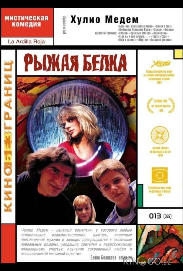 Рыжая белка Рыжая белка