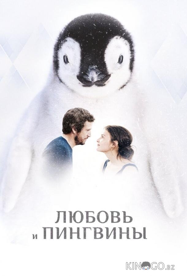 Любовь и пингвины Любовь и пингвины