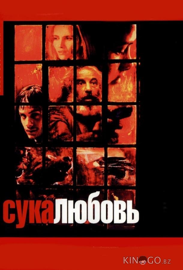 Сука-любовь Сука-любовь