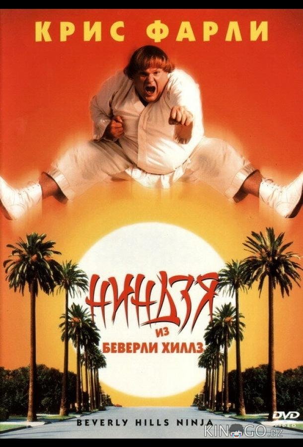 Ниндзя из Беверли Хиллз Ниндзя из Беверли Хиллз