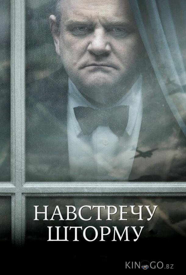 Навстречу шторму Навстречу шторму