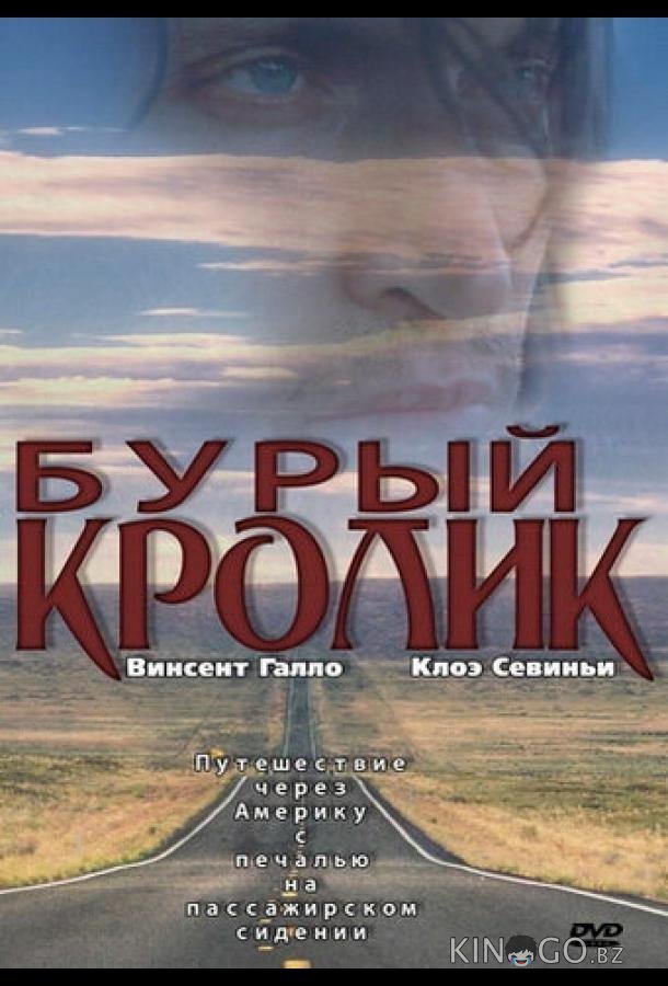 Бурый кролик Бурый кролик